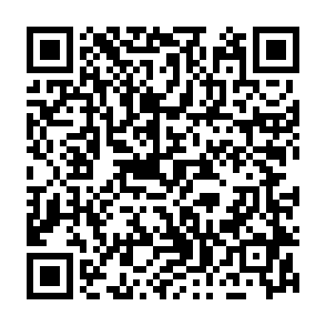 Landfall Android Spyware Code QR