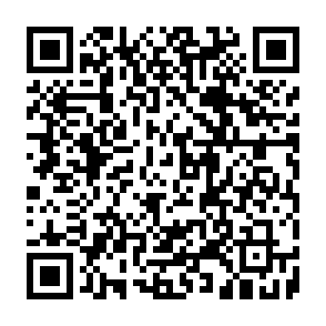 LofyStealer ladrão de informações Code QR