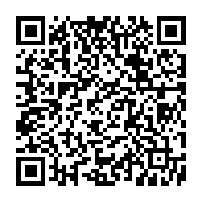 MAIN vírus Code QR