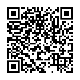 Marco information stealer Code QR