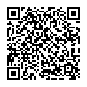 Ladrão de informações Miolab Code QR