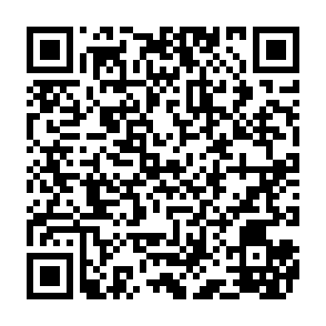 Monkey virus Code QR