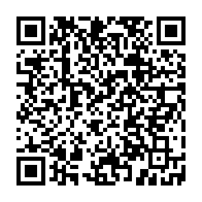 Montage virus Code QR