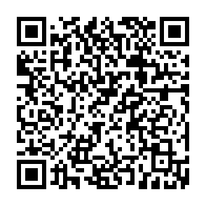 vírus MOON (Dharma) Code QR