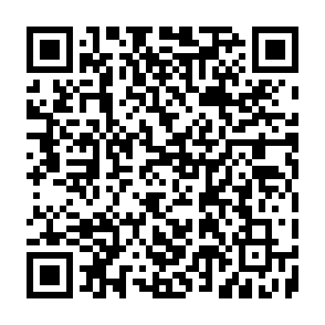 Vírus NBLock Black Code QR