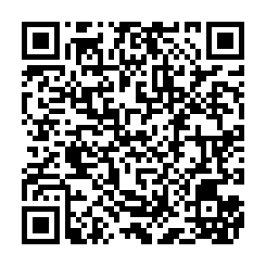 Vírus NBLock Code QR