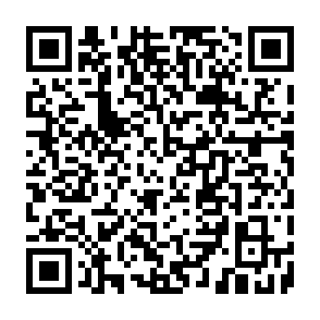Anúncios por netchainspan.com Code QR
