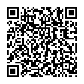 NetZero Email Update golpe de phishing Code QR