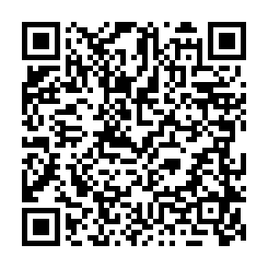 NimDoor ladrão Code QR