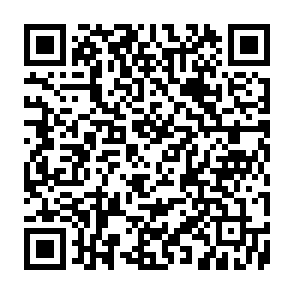 NOCT virus Code QR