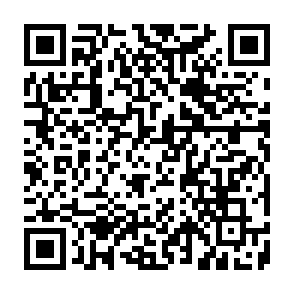 Anúncios de nolermine.com Code QR