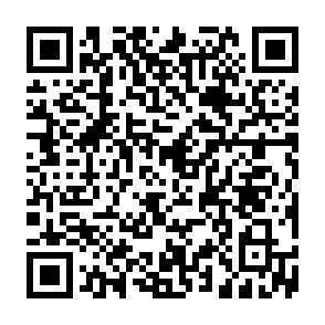 Noodlophile malware Code QR
