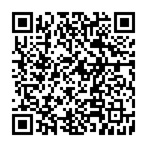 NovaStealer virus Code QR
