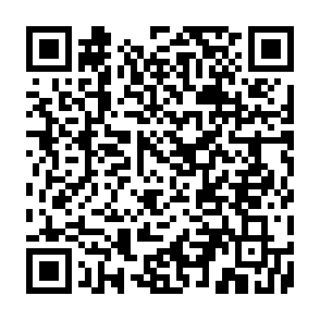 NWHStealer ladrão de informações Code QR