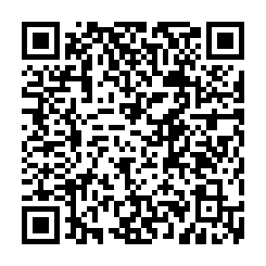 Anúncios de orbitboostlabs.com Code QR