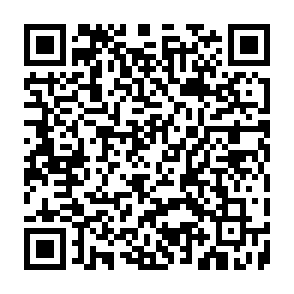 PayForRepair virus Code QR