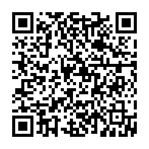 PCLocked virus Code QR