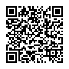 vírus PcS Code QR