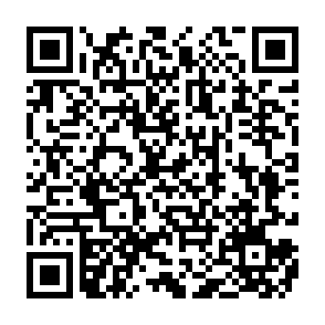 vírus Pdf (2) Code QR