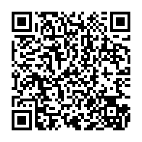 PhantomStealer ladrão de informações Code QR