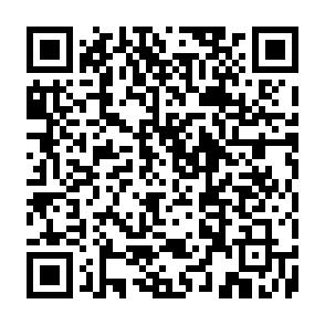 Phexia backdoor Code QR