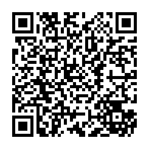 Phoenix Worm dropper Code QR