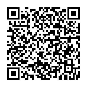 Anúncios por pointgrowthlab.com Code QR