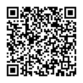 Privaky virus Code QR