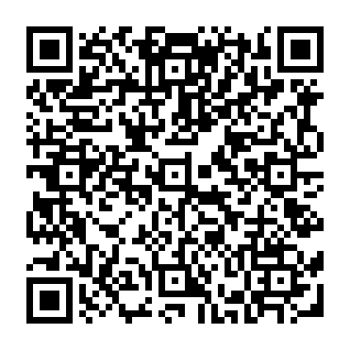 Private Financial Transaction golpe de phishing Code QR