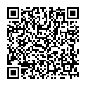 Sequestrador de navegador Pure Safety Code QR