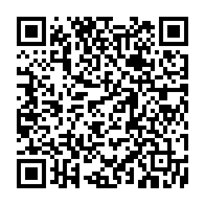vírus qTox Code QR
