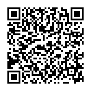 Anúncios por quantagrowthforge.com Code QR