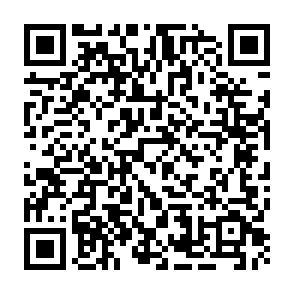 $Qubit Airdrop crypto drainer Code QR