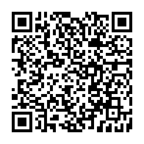 QuirkyLoader virus Code QR