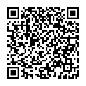 Vírus Regulus Code QR