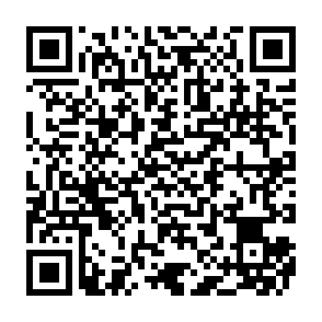 Revised Invoice golpe de phishing Code QR