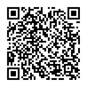 REVSTEALER infostealer Code QR