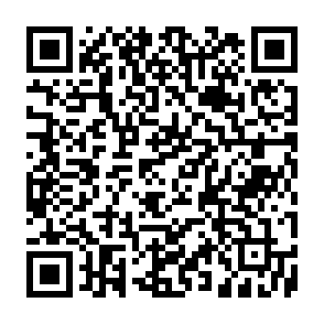 vírus RIED Code QR