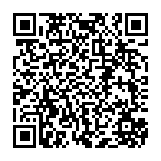 ladrão de informação RisePro Code QR