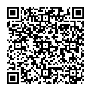 Rapid Image Search sequestrador de navegador Code QR