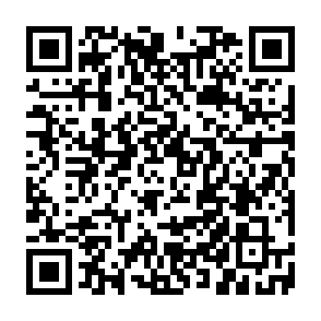 searchcalm.com sequestrador de navegador Code QR