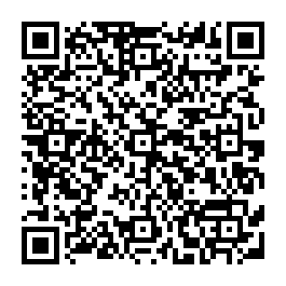 Security Awareness Exercise golpe de phishing Code QR