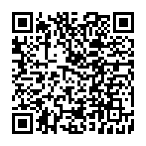 SeedSnatcher ladrão Code QR