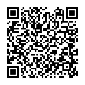ShadeStager ladrão de informações Code QR