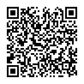 ShadowLock virus Code QR