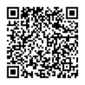 ShareX Airdrop drenador de criptomoedas Code QR