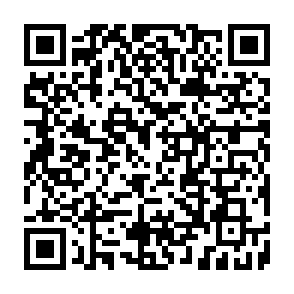 SharkStealer ladrão de informações Code QR