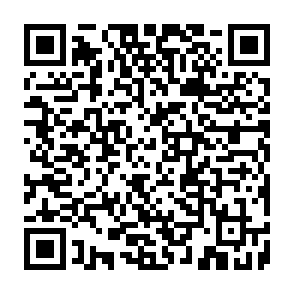 Programa para roubo de informações SHub Code QR
