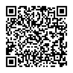 Trojan de acesso remoto SnakeBiteAgent Code QR