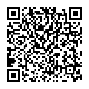 Falsa Solana Airdrop Code QR